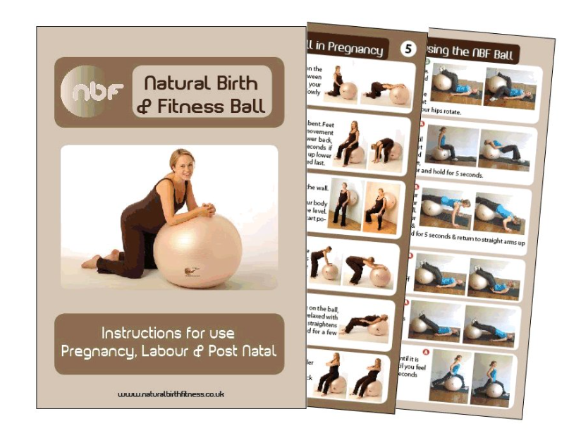 Natural Birth & Fitness Ball 65cm - Silver